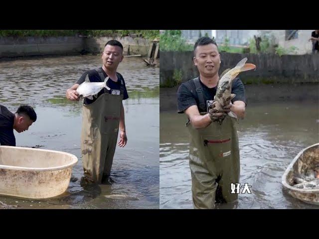 塘主说要免费送我一口鱼塘，没想到竟然是因为爷爷年纪大了