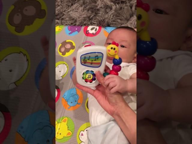 Baby Einstein Take Along Musical Toy Review