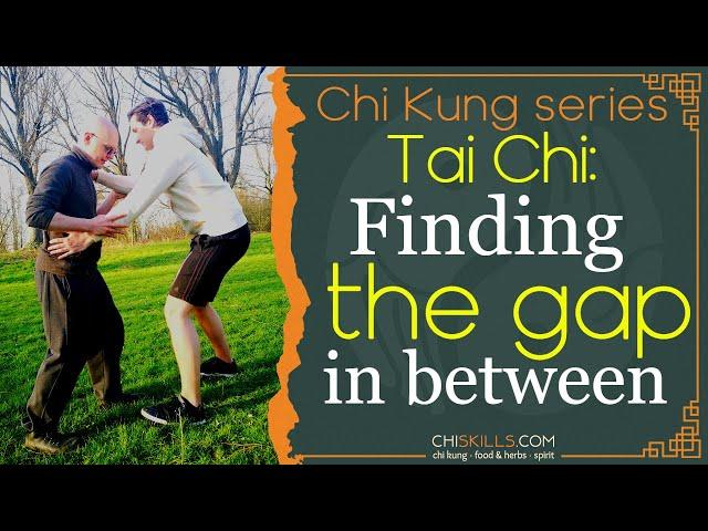 Tai Chi: Root, Balance & the Gap in between