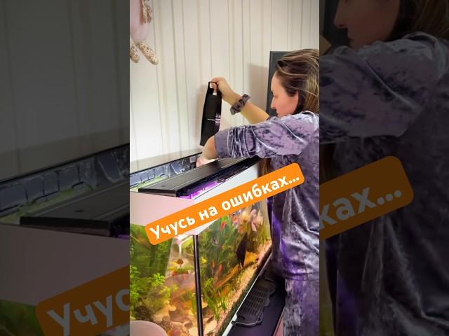 Секреты идеального аквариума: чистка, кормление и подмена воды #аквариум #рыбки #уходзааквариумом