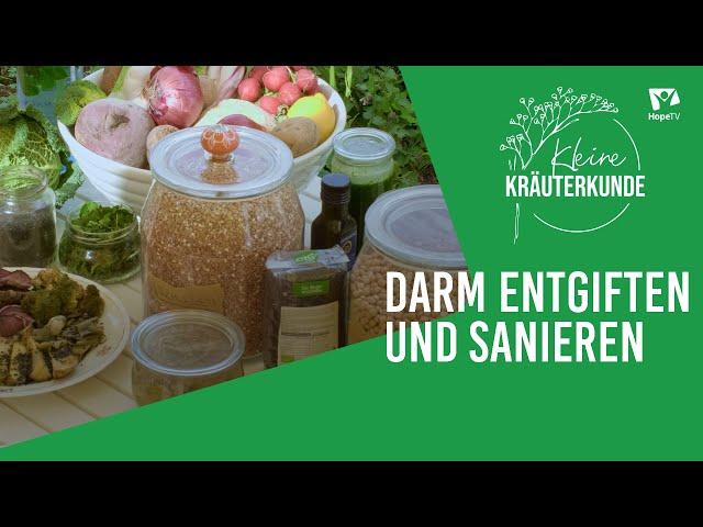 Entgiften und Darm sanieren | Kleine Kräuterkunde