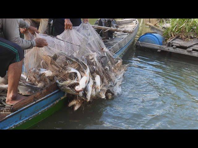 Fishing on the Mekong River - 3 fishing nets the boat is full of fish