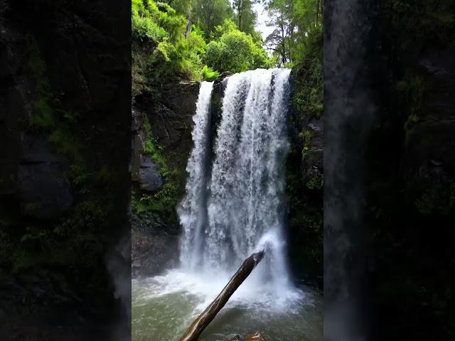 The Places YOU SEEK #shorts #waterfalls