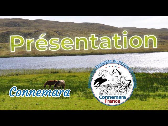 Guide du présentateur (partie 4) : Présentation du poney Connemara