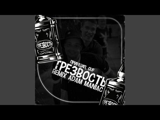 Трезвость (Adam Maniac Remix)