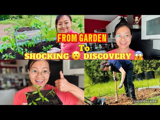 A SHOCKING DISCOVERY  My  Husband Did This — Finally  Transplanted  and More️