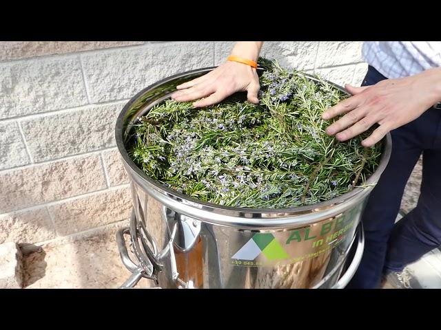 Distillation of Rosemary essential oil - distiller plus