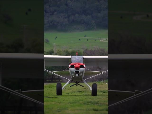 great landing on a tail dragger. #aviation #taildragger #airplane #piper