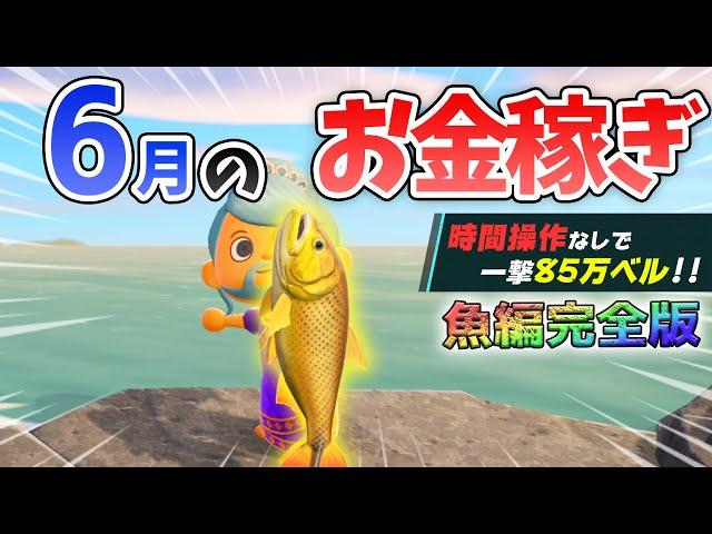 【あつ森】6月のお金の稼ぎ方！時間操作なしで効率よく離島1往復80万ベルを稼ぐ最強の方法！サメやドラド、ピラルクを乱獲するための金策法解説【あつまれどうぶつの森　6月お金の稼ぎ方　魚編】