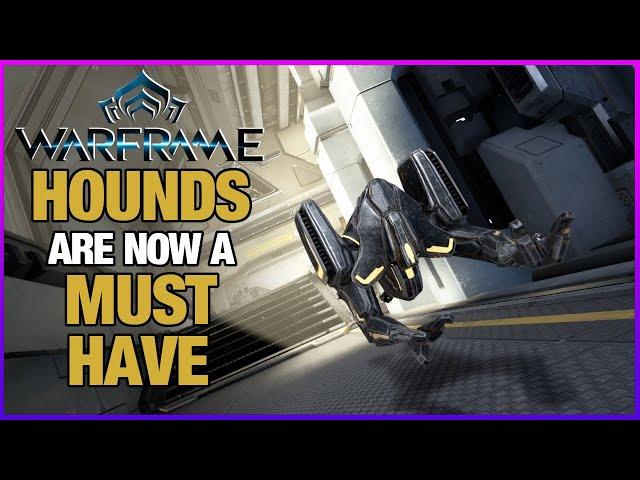 THIS COMPANION IS BETTER THAN SOME WARFRAMES | Hounds Companion Build 2025