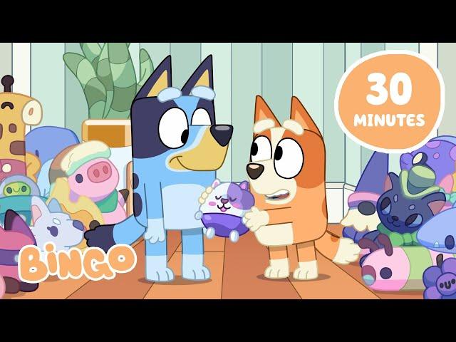 LIVE: Cosy Night with Bluey and Bingo   | Uwind with the Cutest Moments  | Bingo