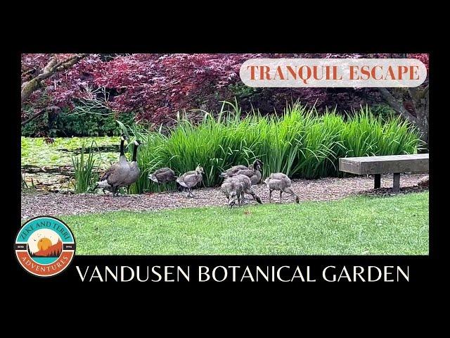 Tranquil Escape: VanDusen Botanical Garden (Vancouver, BC)