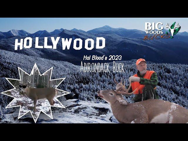 HOLLYWOOD: Hal Blood's 2023 ADIRONDACK BUCK Tracked Down on Snow | Big Woods Hunting in Adirondacks