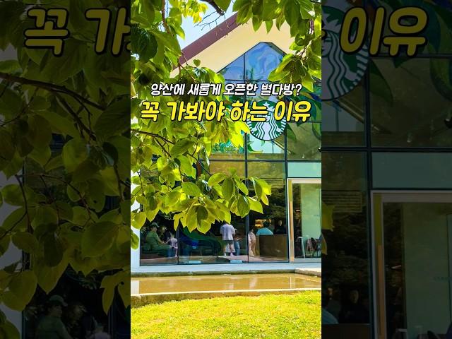 양산에 새로 생긴 스타벅스가 핫한 이유 #스타벅스통도사 #통도사스타벅스