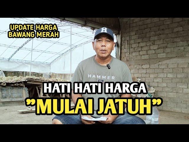 HATI HATI HARGA MULAI JATUH | UPDATE HARGA BAWANG MERAH BJM CHANNEL