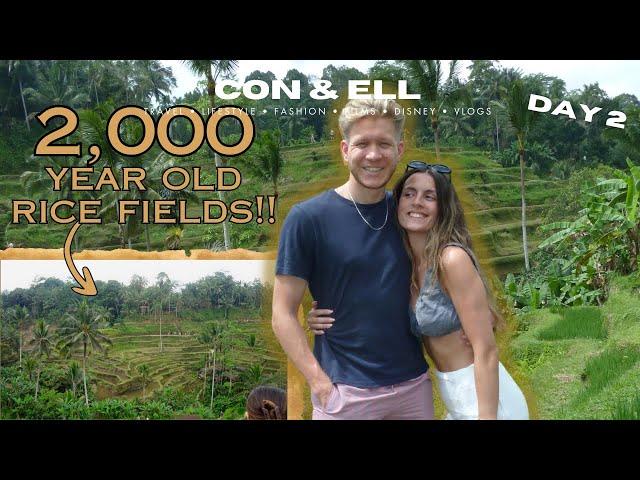 RICE FIELDS, TEMPLES AND WATERFALLS | EPISODE 3 | BALI SERIES