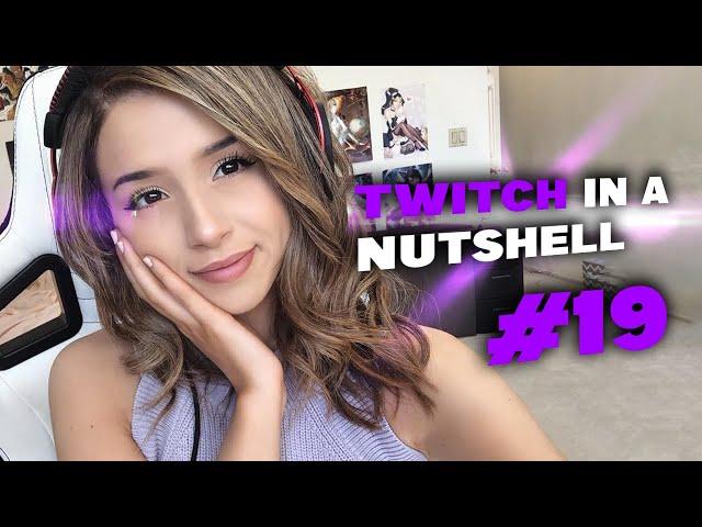 Twitch Fails in a Nutshell #19