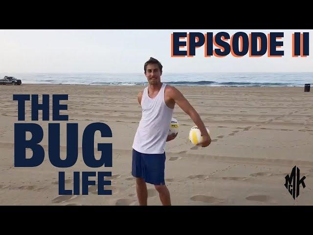 Beach Volleyball's Taylor Crabb: The Bug Life