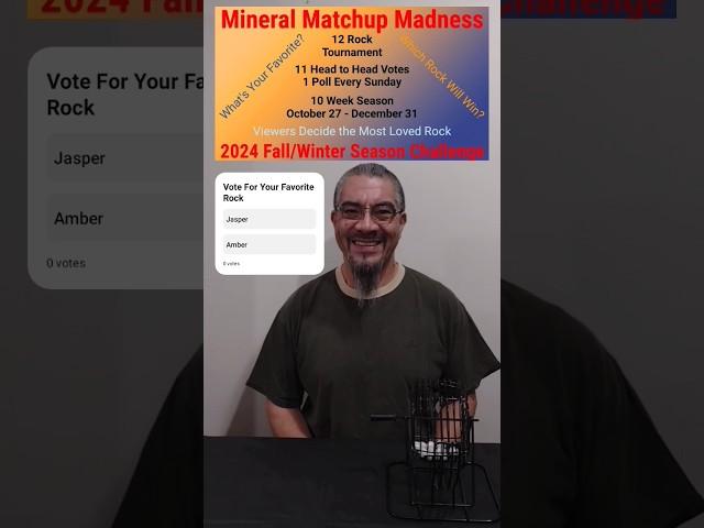 Vote For Your Favorite Rock - Round 2 - Mineral Matchup Madness - 2024 Fall/Winter Challenge