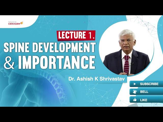 Lecture 1. Spine Development & Importance