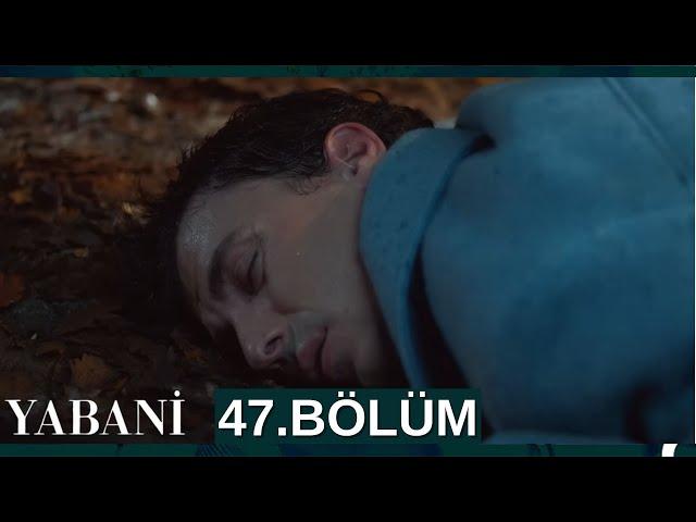 Yabani 47. Bölüm (Full İzle)