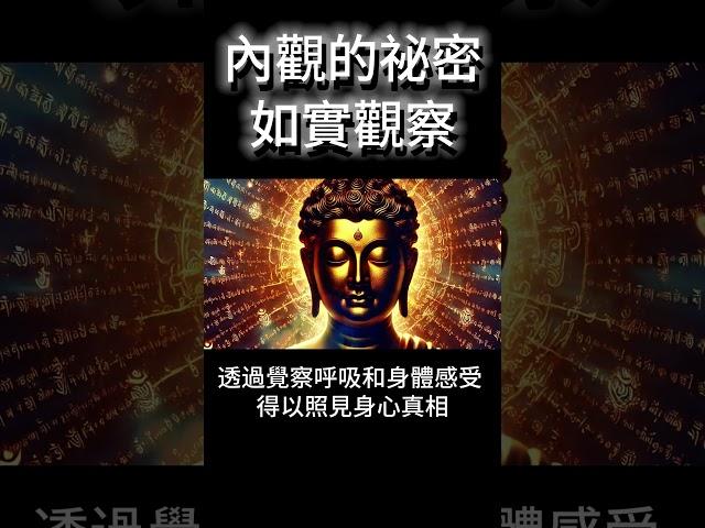 內觀的祕密：如實觀察！釋迦牟尼佛親傳，如何解脫痛苦的根源？ #開悟 #覺醒