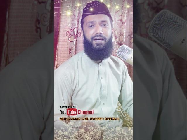 Kalam Mian Muhammad Bakhsh #shorts by Muhammad Adil Waheed