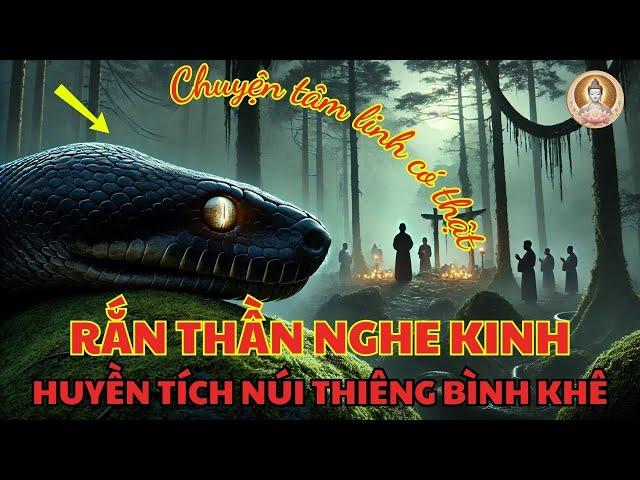 Chuyện Tâm Linh Có Thật: Rắn Thần Nghe Kinh "Huyền Tích Núi Thiêng Bình Khê"