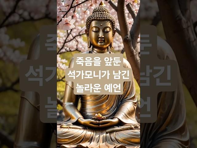 죽음을 앞둔 석가모니가 남긴 놀라운 예언 #불교 #부처님 #부처님말씀 #명상 #깨달음 #기도 #해탈 #명언 #석가모니 #팔만대장경 #인생 #조언