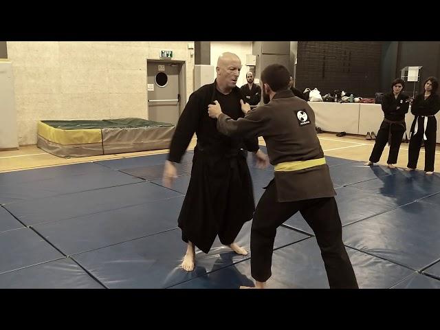 Tearing the ear drum, Happa training - AKBAN Ninjutsu training year addendum, January 2020