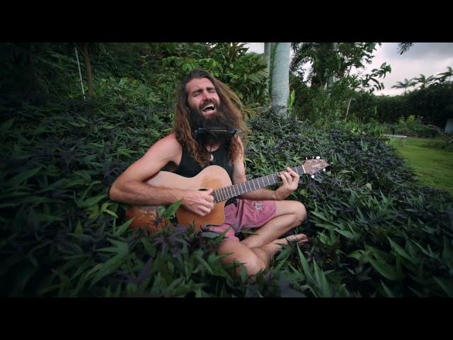 "When The Feelin's Good" by Paul Izak (Acoustic)