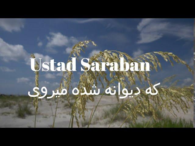 Ustad Saraban || حال که دیوانه شدم میروی