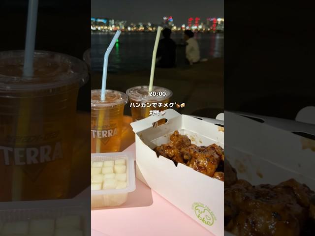 ヨイドの桜は毎年見たくなる 벚꽃 보기 위해 한국에 돌아간 일본인 #치맥#일본인#韓国チキン#ハンガン#韓国