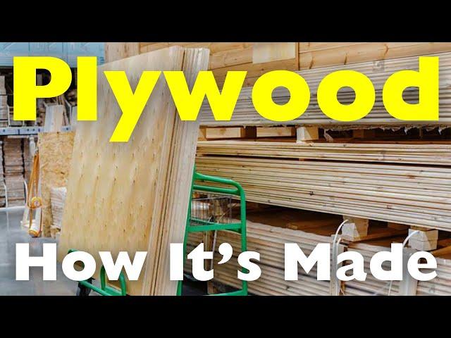 How Is Plywood Made? The Process of Layering Wood Veneers