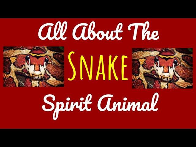  THE SNAKE SPIRITSpirit Animal Symbolism