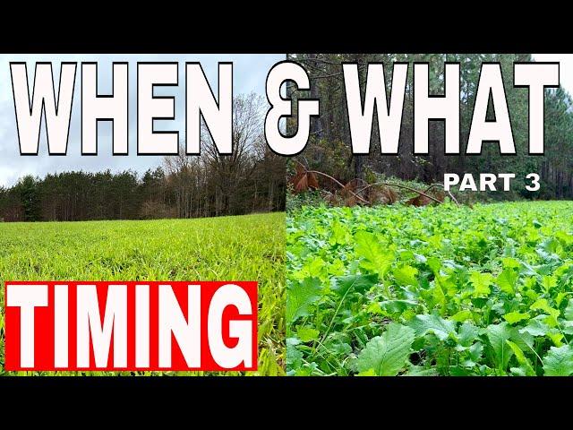 What Food Plots & When should You Plant Them!