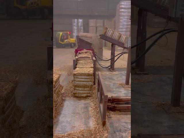 Bounds Hay moving hay for farmers around the world. #hayexport #hay #agriculture #boundshay