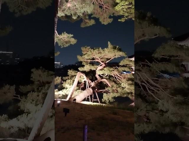 경복궁 궁중문화축제 향원정