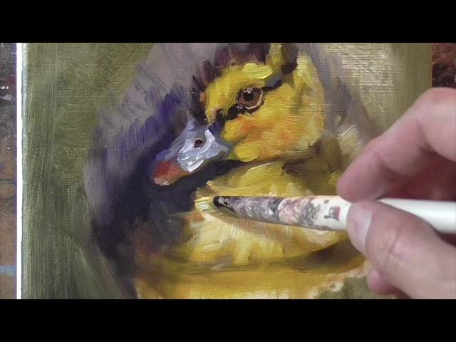 Duckling timelapse OIL PAINTING DEMO Alla Prima Animals by Peter Chorao