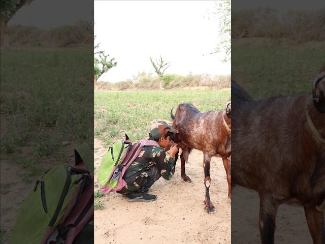 O Desh Mere ️ Emotional story #shorts #army #viral #trending #goat