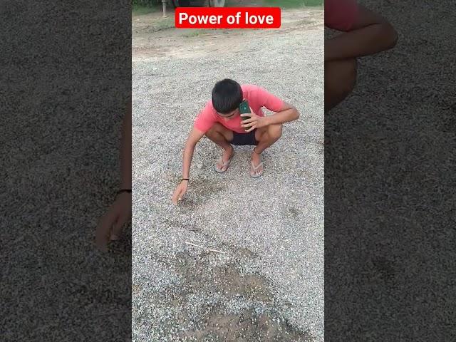 power of love ~#funnyvideo #youtubesearch #trending #viral #viralshort #comedy #trendingshorts