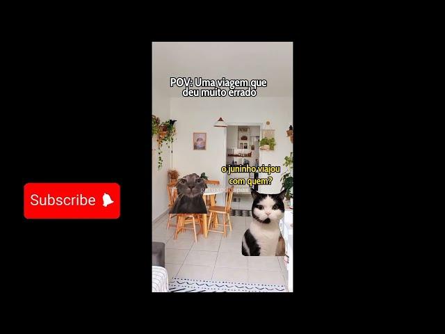 Filme completo: Uma viagem um mistério,juninho,pov de gatinhos,gatuxodospovs
