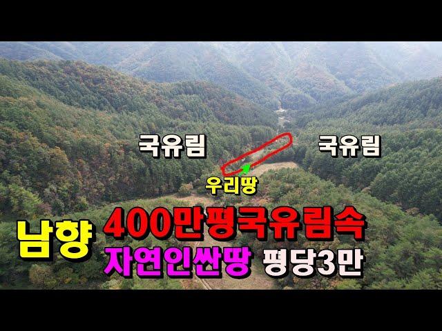 400만평국유림속자연인싼땅/1356평/평당3만/남향의골막장/옻물내기약수터/덕산기계곡/정선부동산매매