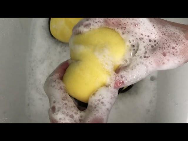 ASMR Squeezing Pinesol, laundry detergent residue with new car sponges 