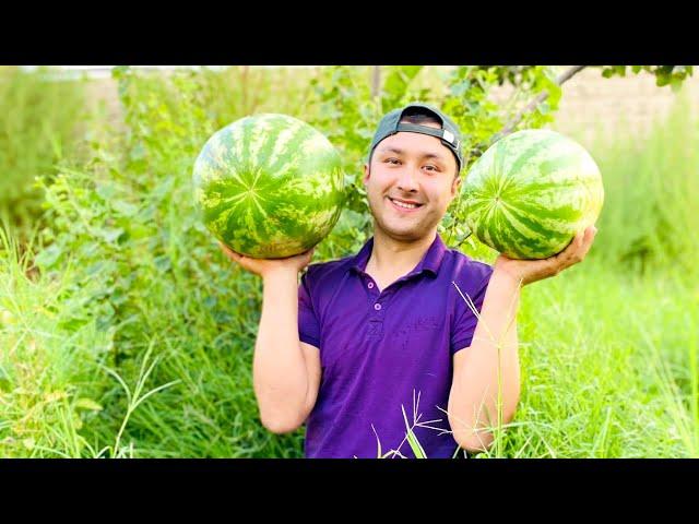 Watermelon cutting