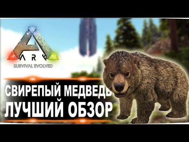 Свирепый медведь (Direbear) в АРК. Лучший обзор: приручение, разведение и способности медведей в ark