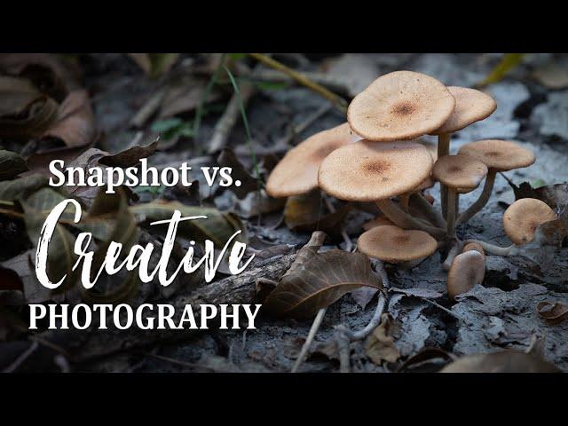 Snapshots Have Their Purpose | Practice Creative Photography