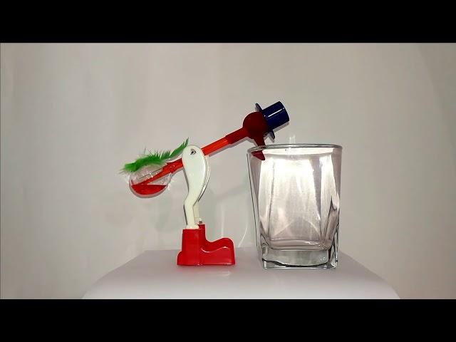 Drinking bird 10 hours