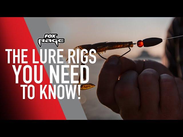 THE LURE RIGS YOU NEED TO KNOW! How to fish drop shot, jig and texas rig lure fishing tutorial.