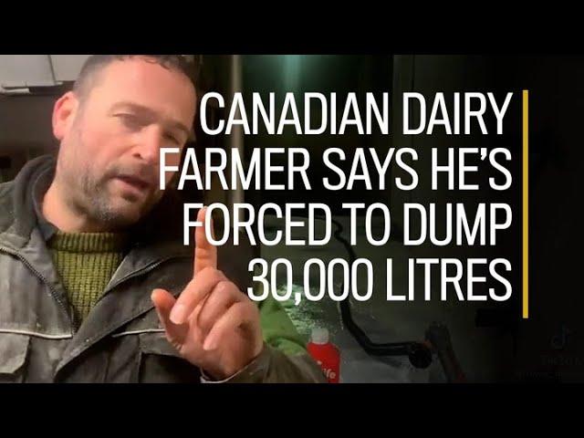 Canadian dairy farmer says he’s forced to dump 30,000 litres of milk